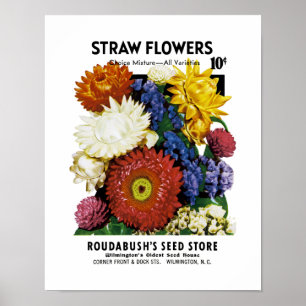 Sugrörblommor kärnar ur paketetiketten poster