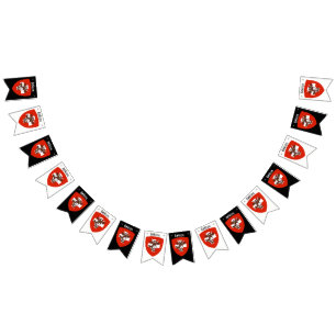 Suisse Party Bunting Banner Vimplar