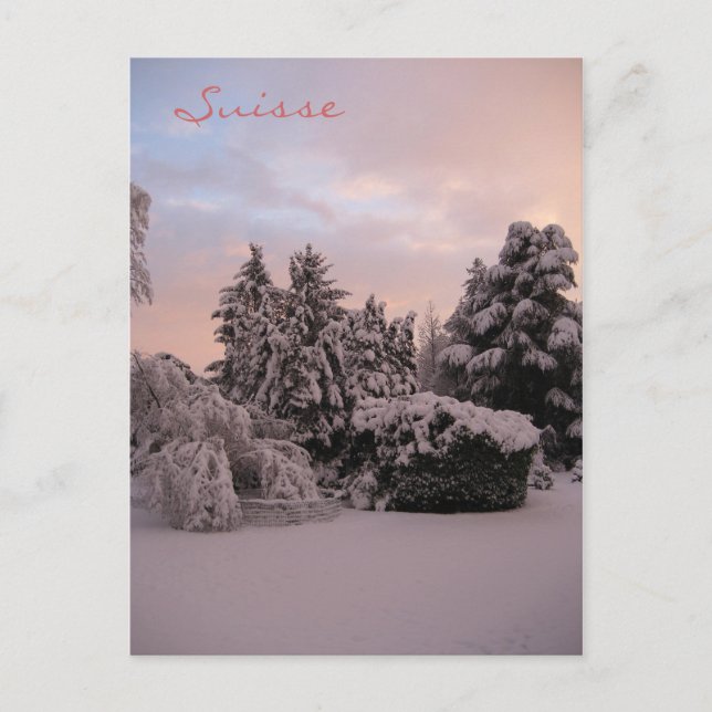 Suisse Vykort (Framsida)