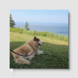 Suka Enjoying Cape George Gästböcker