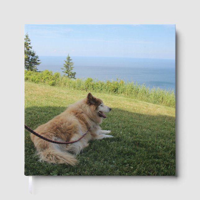 Suka Enjoying Cape George Gästböcker (Framsida)