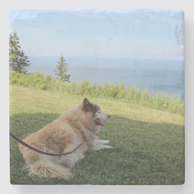 Suka Enjoying Cape George Stenunderlägg (Framsidan)