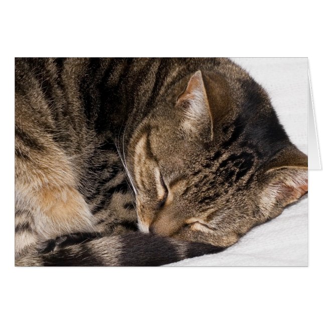 Suki Hälsningskort (Framsidan Horizontal)