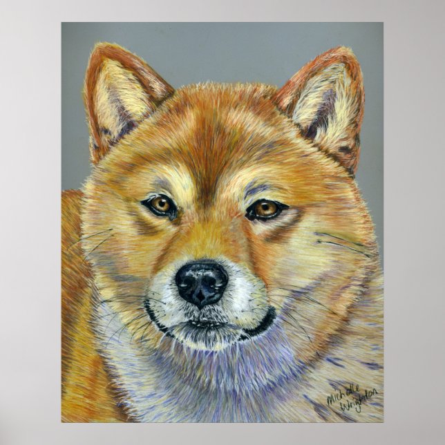 Suki - Shiba Inu Poster (Framsidan)