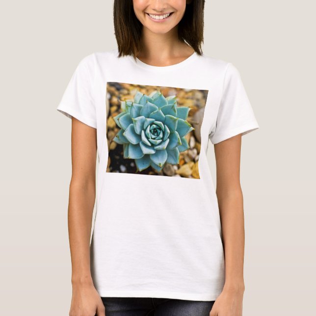 Sukkulent T Shirt (Framsida)