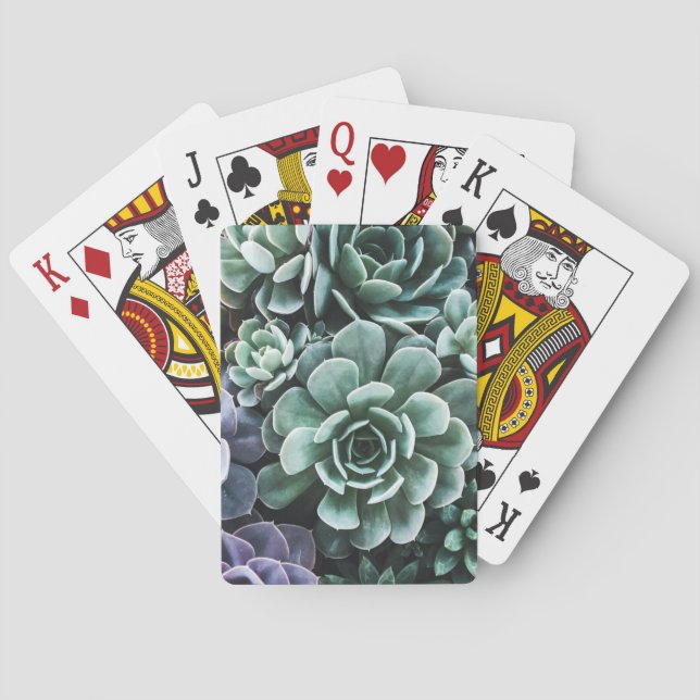 Sukkulenter Gröna Växter Natur Casinokort (Baksidan)