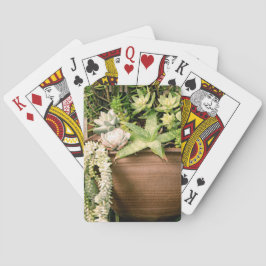Sukkulenter i en röd lerkruka casinokort
