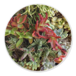 Sukulär Anpassningsbar keramisk knopp