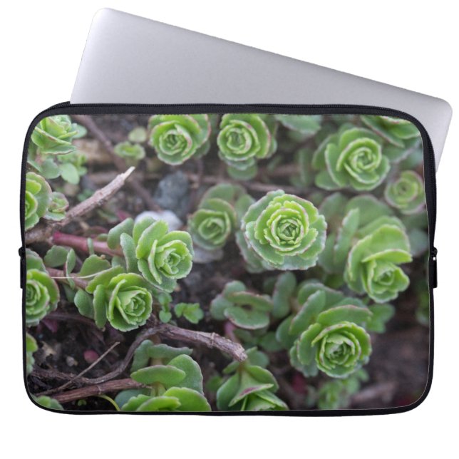 Sukulär fotografi laptop fodral (Framsidan)
