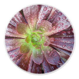 Sukulär keramisk dragkraft knopp