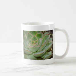 Sukulär växt kaffemugg