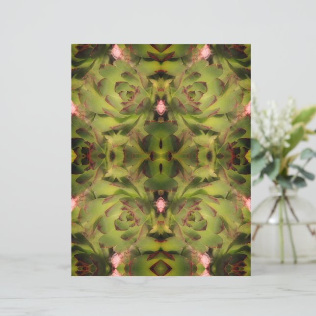 Sukulära höns och Chickar Pappra (Stående Fram)