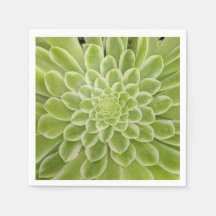 Sukulära pappra blöjor