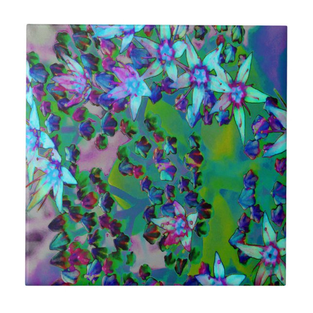 Sukulära seduumblommor i Aqua, Lila och Blue Kakelplatta (Framsidan)