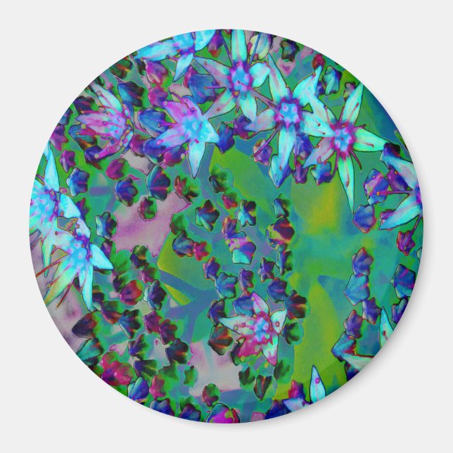 Sukulära seduumblommor i Aqua, Lila och Blue Magnet (Framsidan)