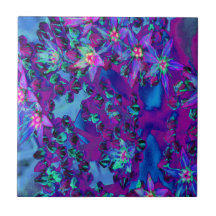 Sukulära seduumblommor i Teal, Magenta och Blue