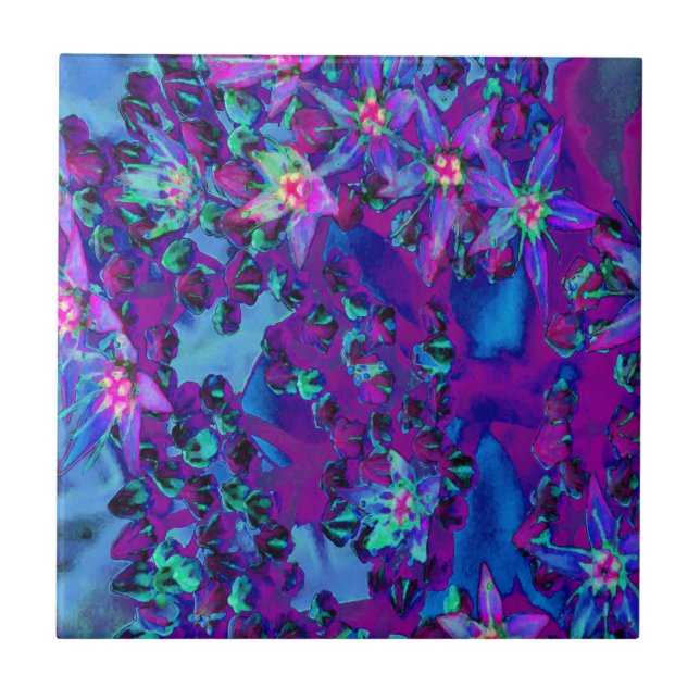 Sukulära seduumblommor i Teal, Magenta och Blue Kakelplatta (Framsidan)