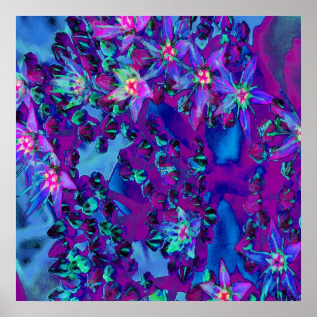 Sukulära seduumblommor i Teal, Magenta och Blue Poster (Framsidan)