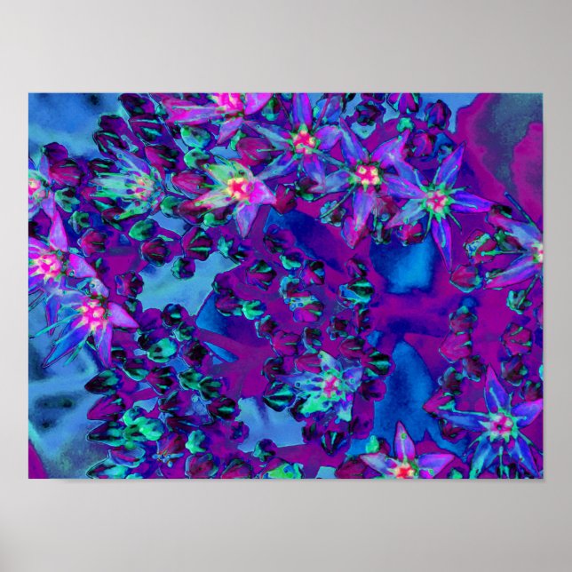 Sukulära seduumblommor i Teal, Magenta och Blue Poster (Framsidan)