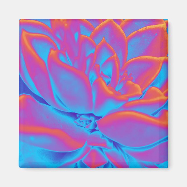 Sukulärt mysterium magnet (Framsidan)