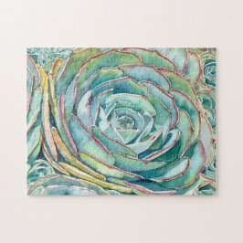 Sukulärt pussel: Blue Ro Echeveria Pussel