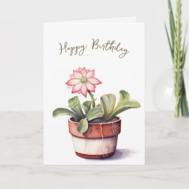Sukulatanläggning med blommande födelsedag kort