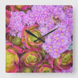 Sukulationer Fyrkantig Klocka