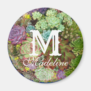 Sukulationer i Planter Magnet