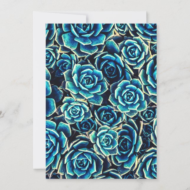 Sukulationer Julkort (Framsida)