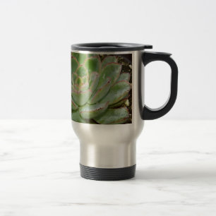 Sukulationer Resemugg