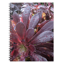 Sukulent Anteckningsbok