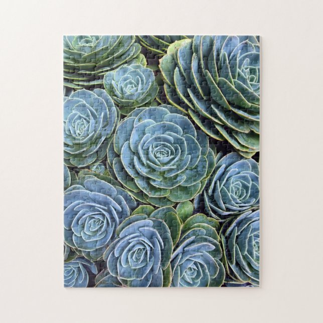 Sukulent fotofoto Succulent Day Cactus Lagrar Pussel (Vertikal)