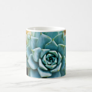 Sukulent Kaffemugg