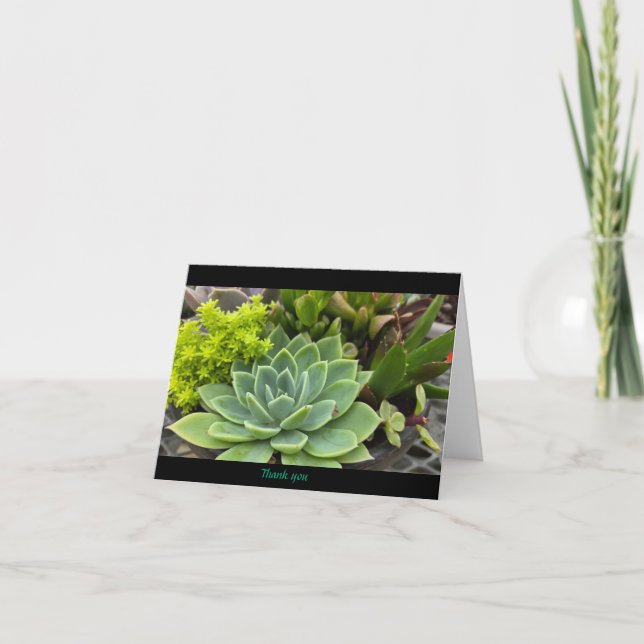 Sukulent Tack Kort (Framsida)