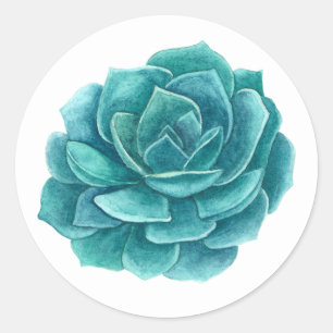 Sukulent vattenfärg. Blåkaktus. Cacti. Botaniska Runt Klistermärke