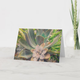 Sukulenter, Mors dag Kort