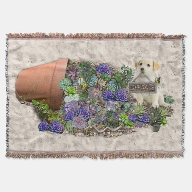 Sukulor för försäljning filt (Framsidan)