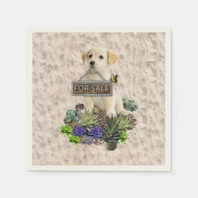 Sukulor för försäljning pappersservett (Framsidan)