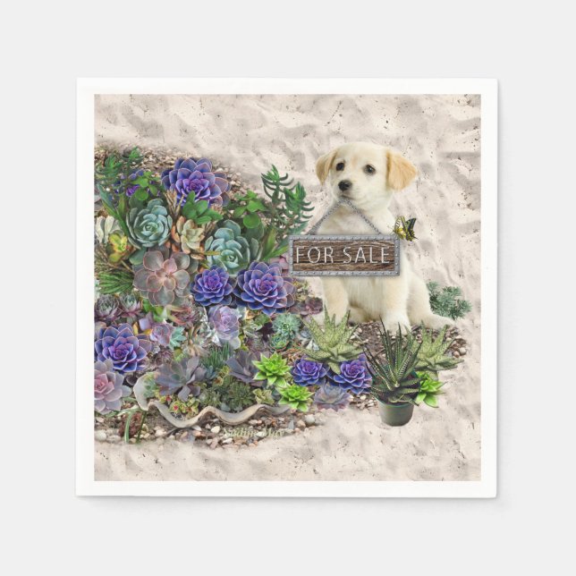 Sukulor för försäljning pappersservett (Framsidan)