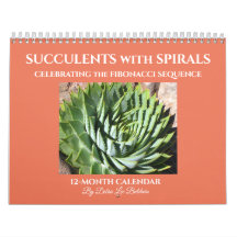 Sukulor med Fibonacci Spiral