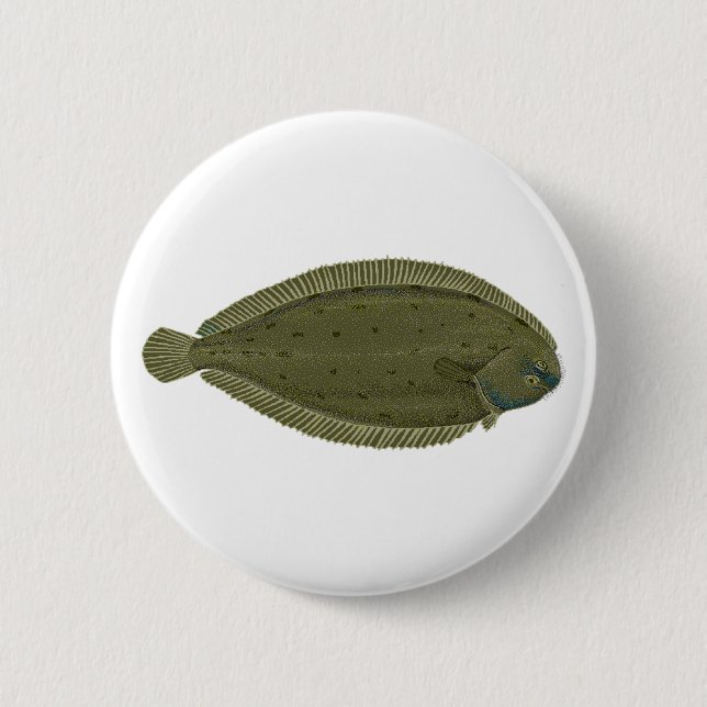 Sula Knapp (Framsida)