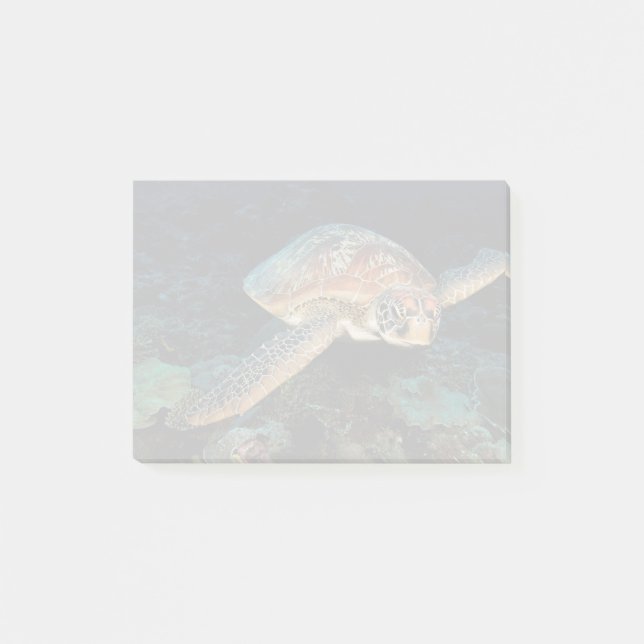 Sulawesi | Grön havssköldpadda Post-it Block (Framsida)