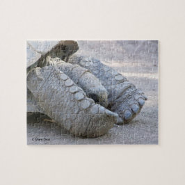 Sulcata sköldpadda pussel