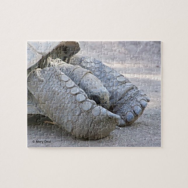 Sulcata sköldpadda pussel (Horisontell)