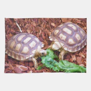 Sulcata sköldpaddaHatchlings Kökshandduk