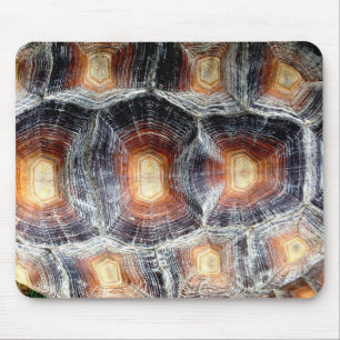 Sulcata sköldpaddasnäcka Mousepad Musmatta