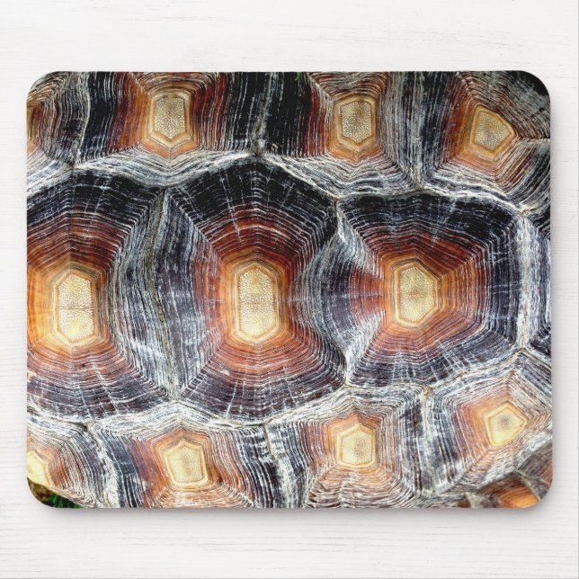 Sulcata sköldpaddasnäcka Mousepad Musmatta (Framsidan)