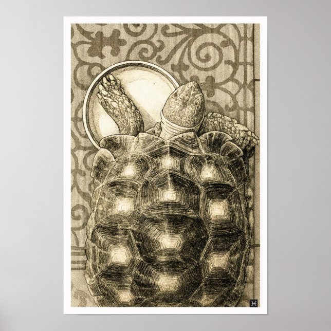 Sulcata Tortoise Art Nouveau Ink Sepia drawing Poster (Framsidan)