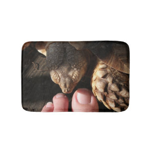 Sulcata Tortoise Inspection People Toes Badrumsmatta