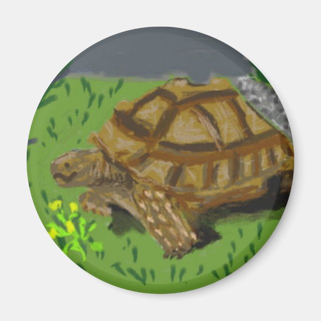 Sulcata Tortoise Magnet (Framsidan)